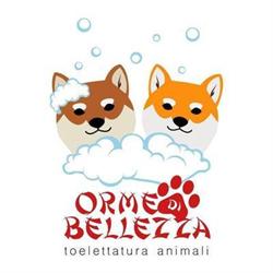 Orme di Bellezza - Fiorentino Stefania, Lavis orari di apertura
