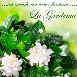 Fioraio La Gardenia, Neviano orari di apertura