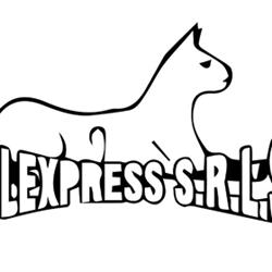 Nolexpress Srls - Noleggio e Riparazione Macchine Edili, Agricole e Industriali, Torre Orsaia orari di apertura