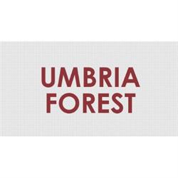 Umbria Forest Srl, Montefalco orari di apertura