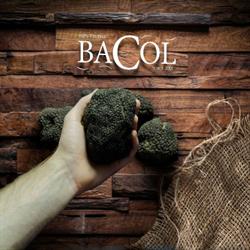 Bacol Tartufi - Truffle Products From Italy - Molise, Campodipietra orari di apertura