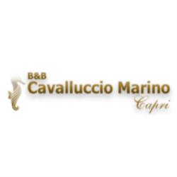 B&B Cavalluccio Marino, Anacapri orari di apertura