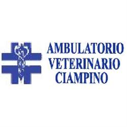 Ambulatorio Veterinario Ciampino Dott.ssa Gandolfi, orari di apertura