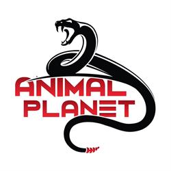 Animal Planet, San Prisco orari di apertura