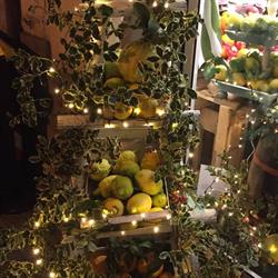 La Frutteria da Simone, Poggio a Caiano orari di apertura