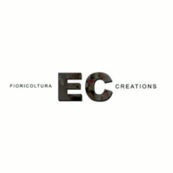 EC Creations, Quartu Sant'Elena orari di apertura