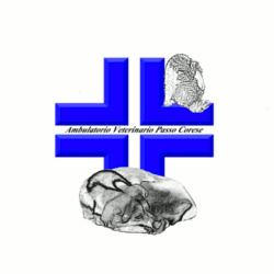 Ambulatorio Veterinario Passo Corese, orari di apertura