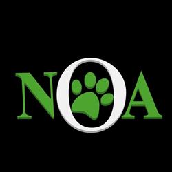 Noa Toelettatura, Palermo orari di apertura
