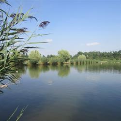 Trattoria Lago Segugio, Pizzighettone orari di apertura
