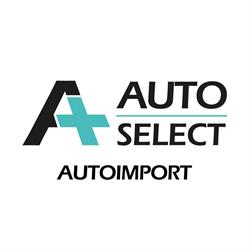 AUTOIMPORT DIVISIONE USATO, Roma orari di apertura