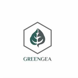 Greengea Srl, Messina orari di apertura