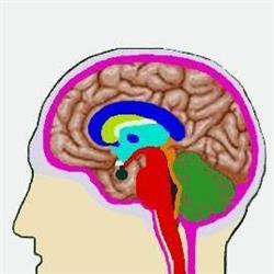 Polo Neurologico Brianteo, Seregno orari di apertura