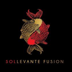 Sol Levante Fusion Japanese Restaurant, Torino orari di apertura