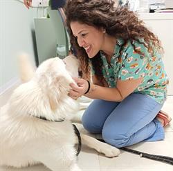 Ambulatorio Veterinario Dott.ssa Micca, Siracusa orari di apertura