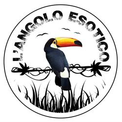 L'Angolo Esotico, Modena orari di apertura