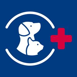 Ambulatorio Veterinario Casaletto, Roma orari di apertura