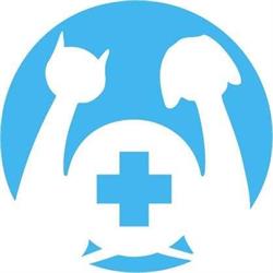 Clinica Veterinaria Ostia Lido, Roma orari di apertura