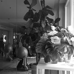 Daniel Garcia Spazio Wellness, Milano orari di apertura