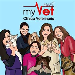 MYVET CLINICA VETERINARIA S.N.C. DELLE DOTT.SSE G. SICILIANO E G. CALENDA, Nocera Inferiore orari di apertura