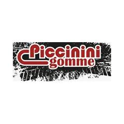 Piccinini Gomme, Castelguelfo orari di apertura