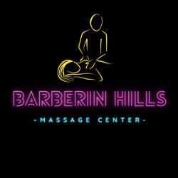 BARBERIN HILLS SOCIETA' A RESPONSABILITA' LIMITATA SEMPLIFICATA, Roma orari di apertura