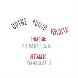 TRIESTE FUNGHI INGROSS, Udine orari di apertura