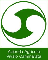 Azienda Agricola Vivaio Cammarata, Nave orari di apertura