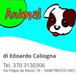 Animal Planet di Edoardo Caliogna, Recco orari di apertura