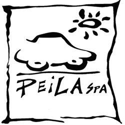 Peila SPA - rivenditore autorizzato Ford e Nissan, Pavone Canavese orari di apertura