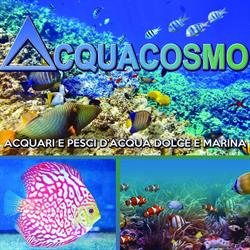 ACQUACOSMO S.A.S. DI LIBRALATO MAURIZIO & C., San Biagio di Callalta orari di apertura