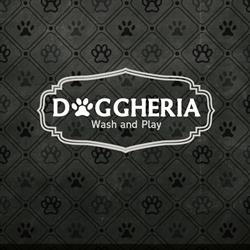 DOGGHERIA SOCIETA' A RESPONSABILITA' LIMITATA SEMPLIFICATA, Bari orari di apertura