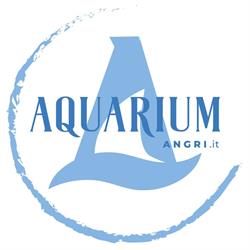 AQUARIUM, Angri orari di apertura