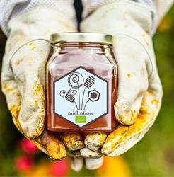 AZIENDA AGRIAPISTICA BIO MIELINFIORE DI ANDREA ROSSI, Albano Laziale orari di apertura