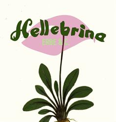 Erboristeria Hellebrina, Cigliano orari di apertura