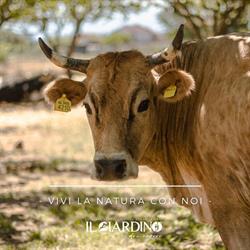 Agriturismo, Agripizzeria e Agrigelateria Il Giardino dei Sapori, Nichelino orari di apertura