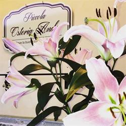 Piccola Osteria Andes, Mantova orari di apertura