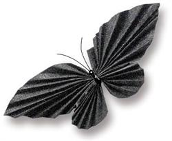 Mariposa, Bologna orari di apertura