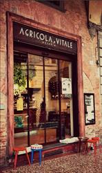 Agricola e Vitale Osteria, Bologna orari di apertura