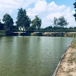 Il Laghetto, Castagnole delle Lanze orari di apertura