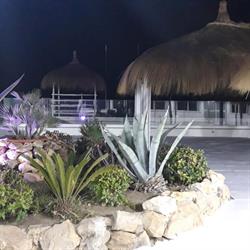 Stella Marina, Fiumicino orari di apertura