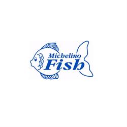 Michelino Fish, Roma orari di apertura