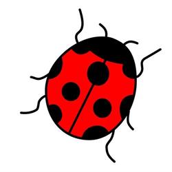 La Coccinella, Ciampino orari di apertura