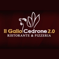 Il Gallo Cedrone, San Miniato orari di apertura