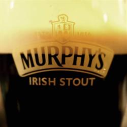Murphy's Meeting Point, Trieste orari di apertura