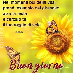 Caffè Il Girasole, Condove orari di apertura