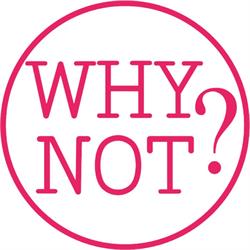 Why Not?, Carrara orari di apertura