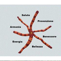 Demichelis D.ssa Patrizia Dermatologa - Vercelli, orari di apertura