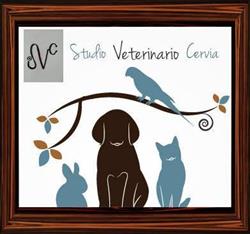 Studio Veterinario Cervia, orari di apertura