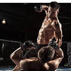Iron Dragon Team M.M.A. Personal Training SPORT DA COMBATTIMENTO, Roma orari di apertura