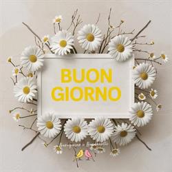 Pasticceria Andrea, Cinisello Balsamo orari di apertura
